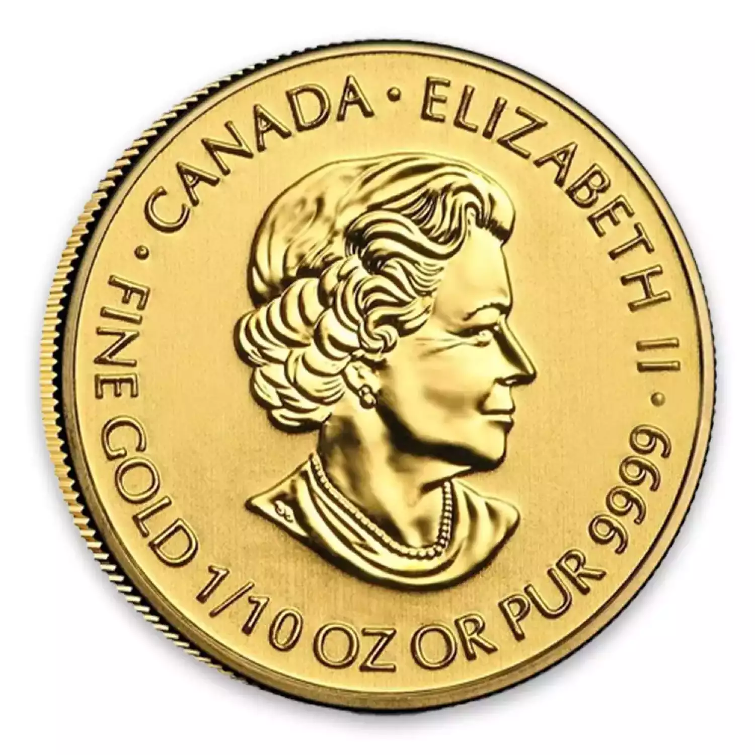 2013 1/10 oz Canadian Devil's Brigade Gold Coin (3)
