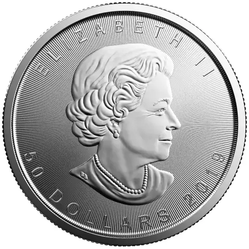 2019 1oz Canadian Platinum Maple Leaf (3)