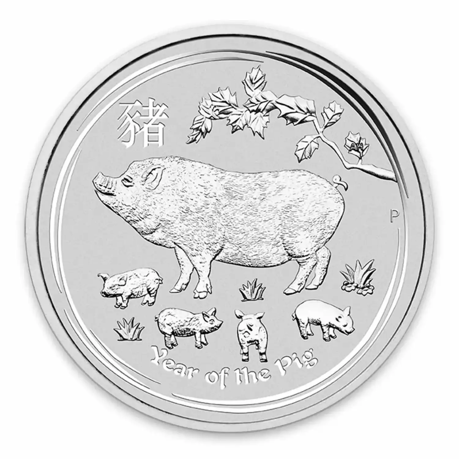 2019 2oz Australian Perth Mint Silver Lunar: Year of the Pig (2)