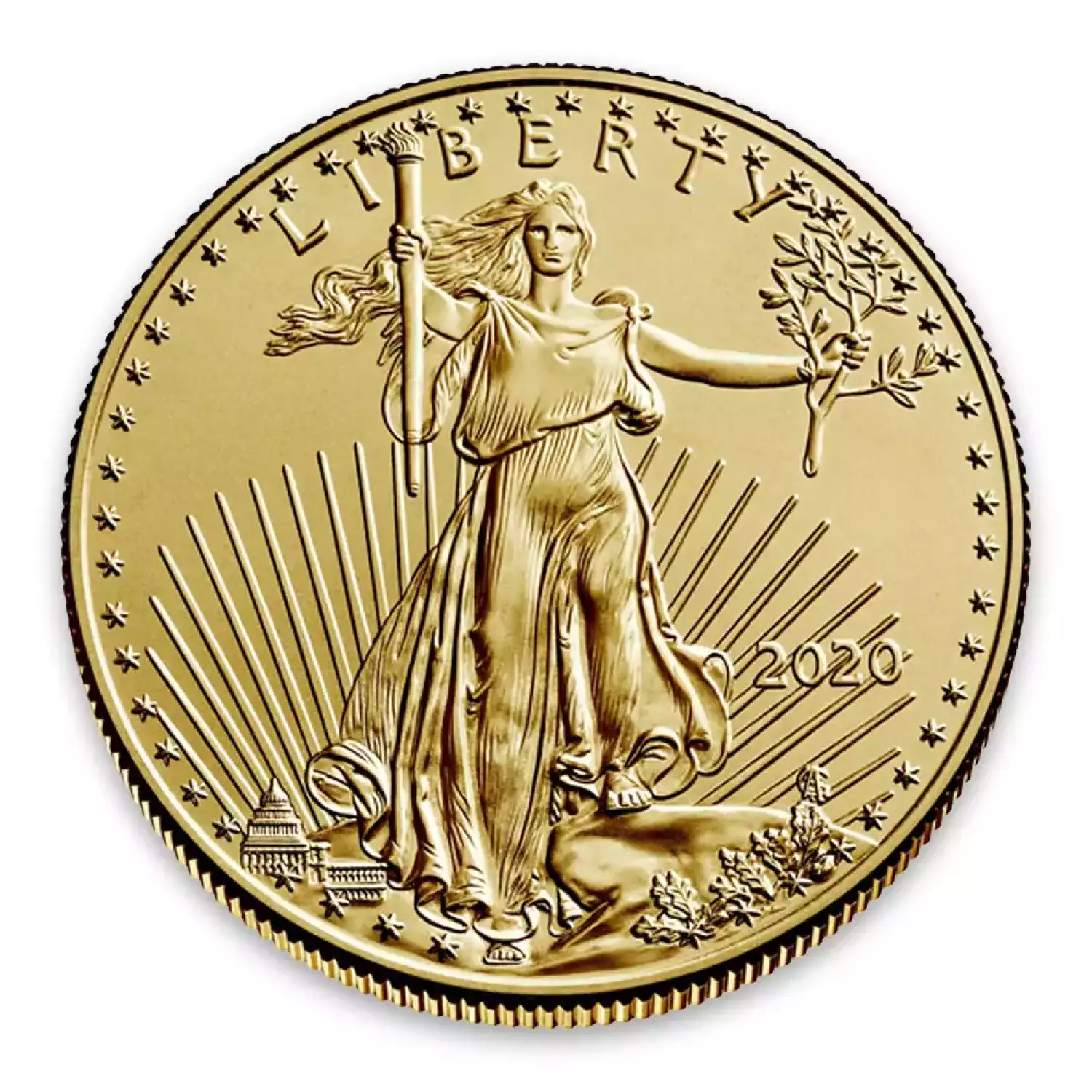 2020 1/10oz American Gold Eagle (2)
