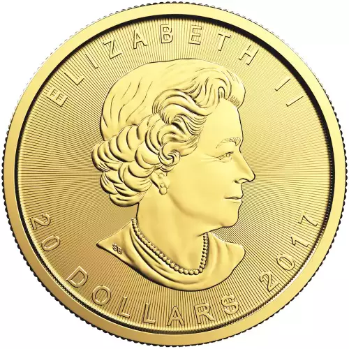 Any Year 1/2oz Canadian Gold Maple Leaf (3)