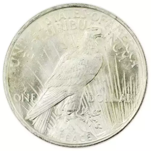 Peace Silver Dollars - Dates Vary (2)
